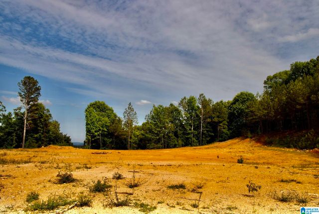 345 COUNTY ROAD 467, Vincent, AL 35178