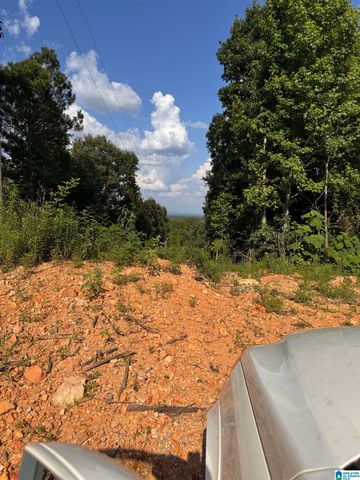 345 COUNTY ROAD 467, Vincent, AL 35178
