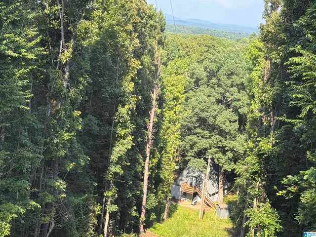 345 COUNTY ROAD 467, Vincent, AL 35178