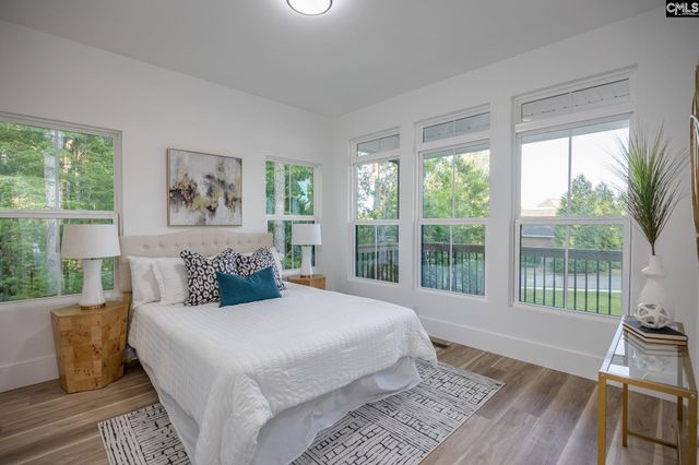 274 Pintail Lake Drive, Gilbert, SC 29054