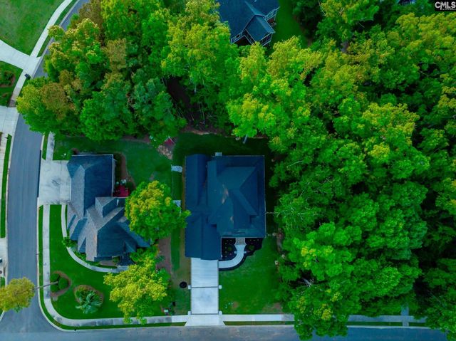 274 Pintail Lake Drive, Gilbert, SC 29054