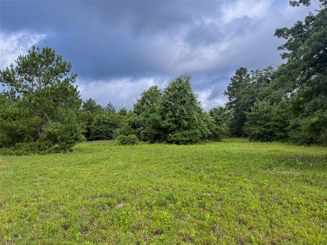 0 County Road 227, Bedias, TX 77831