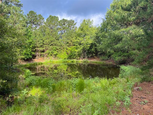 0 County Road 227, Bedias, TX 77831
