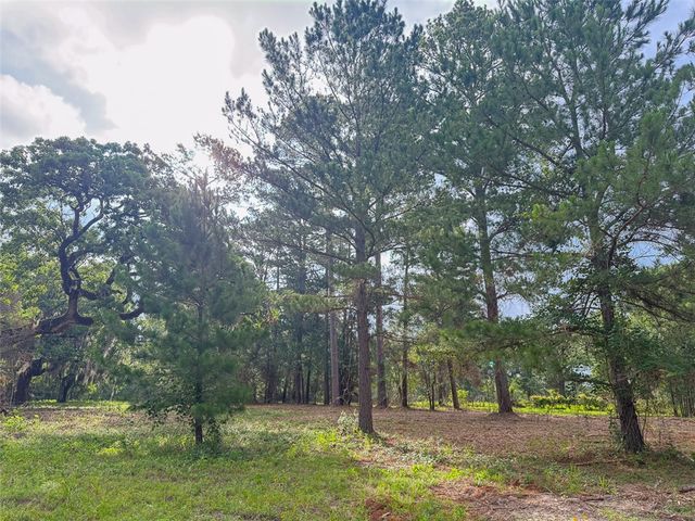 0 County Road 227, Bedias, TX 77831