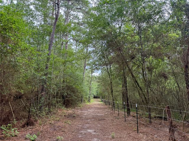 0 County Road 227, Bedias, TX 77831