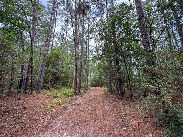 0 County Road 227, Bedias, TX 77831