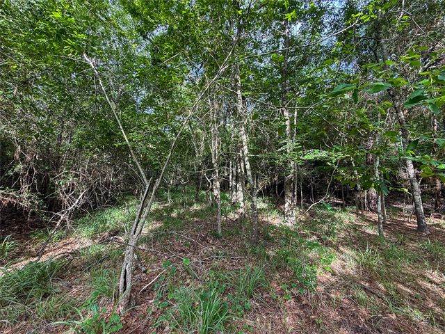 0 County Road 227, Bedias, TX 77831