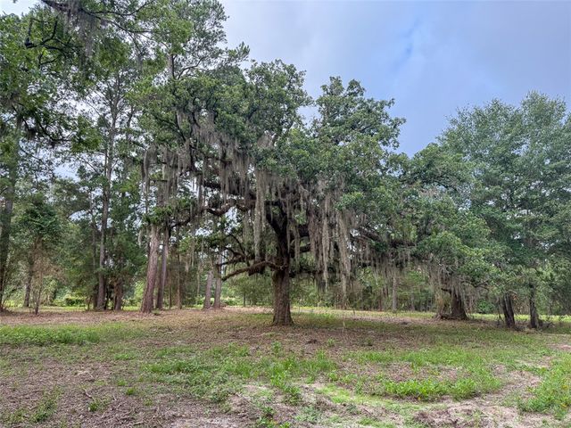 0 County Road 227, Bedias, TX 77831
