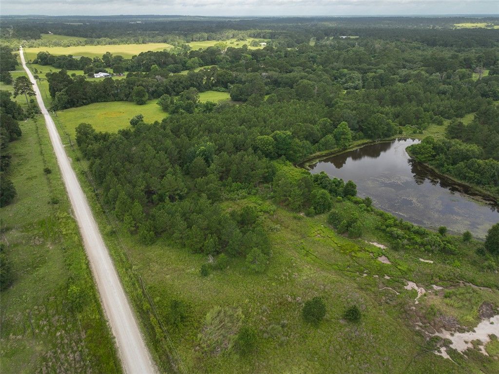 0 County Road 227, Bedias, TX 77831 — photo 2