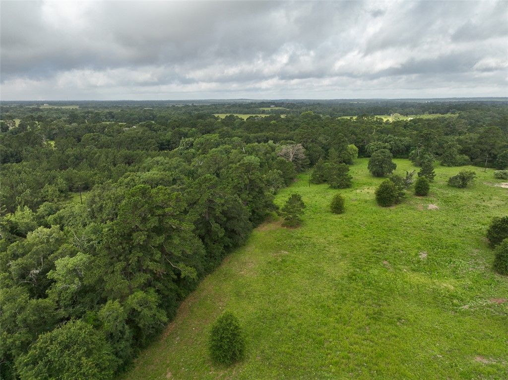 0 County Road 227, Bedias, TX 77831 — photo 3