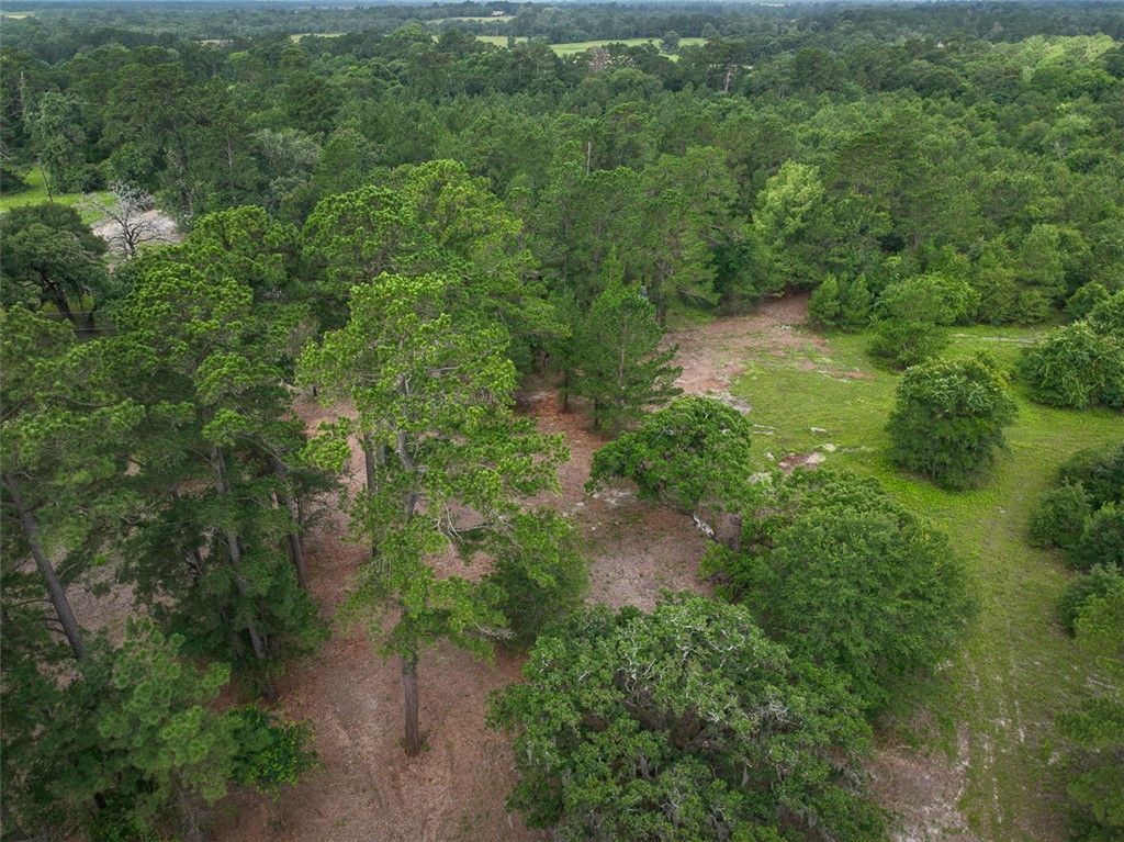 0 County Road 227, Bedias, TX 77831 — photo 4