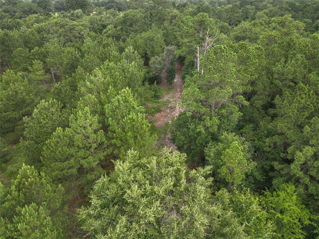 0 County Road 227, Bedias, TX 77831 — photo 5