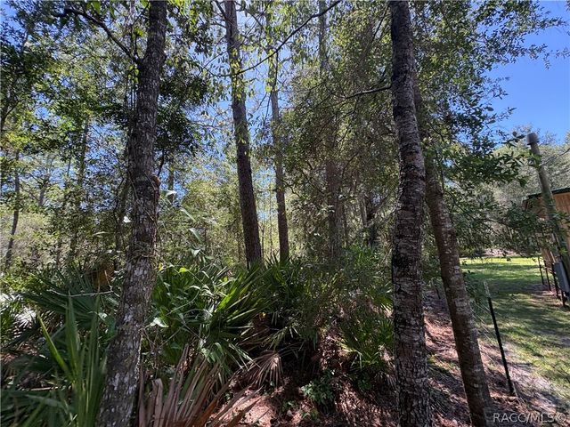 394 N Florene Point, Crystal River, FL 34429