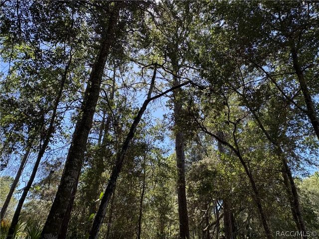 394 N Florene Point, Crystal River, FL 34429