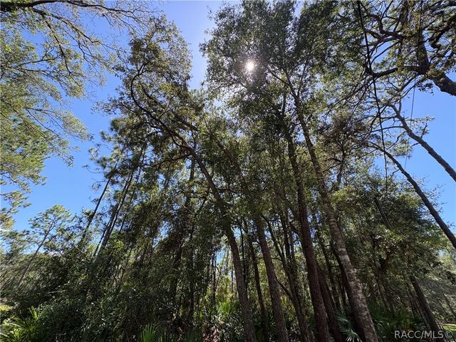 394 N Florene Point, Crystal River, FL 34429