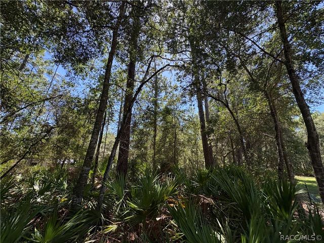 394 N Florene Point, Crystal River, FL 34429