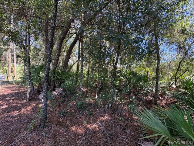 394 N Florene Point, Crystal River, FL 34429