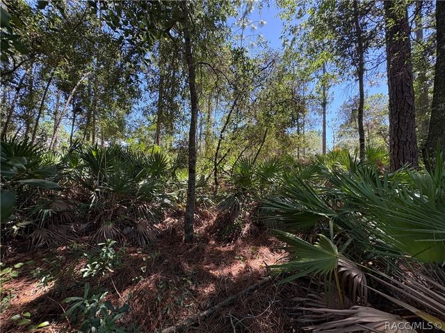 394 N Florene Point, Crystal River, FL 34429