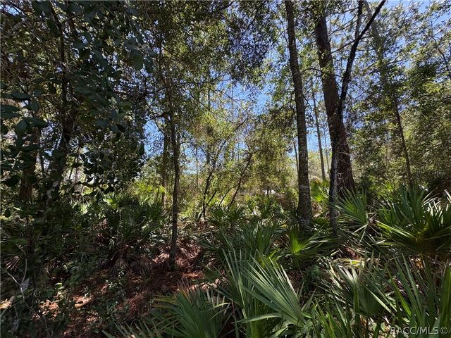 394 N Florene Point, Crystal River, FL 34429