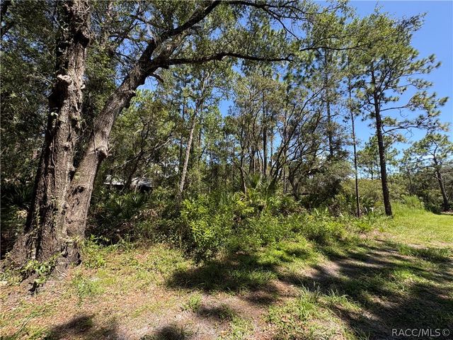 394 N Florene Point, Crystal River, FL 34429