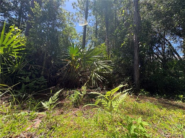394 N Florene Point, Crystal River, FL 34429