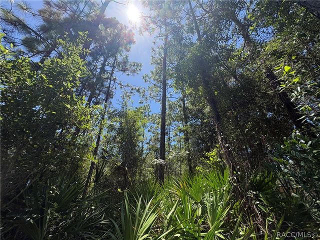 394 N Florene Point, Crystal River, FL 34429
