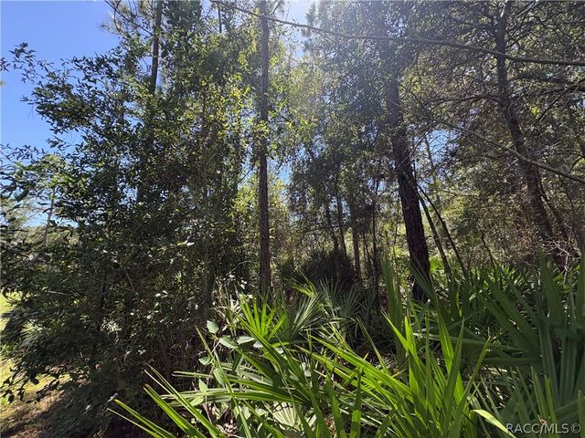 394 N Florene Point, Crystal River, FL 34429