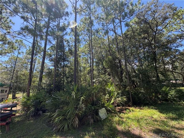 394 N Florene Point, Crystal River, FL 34429