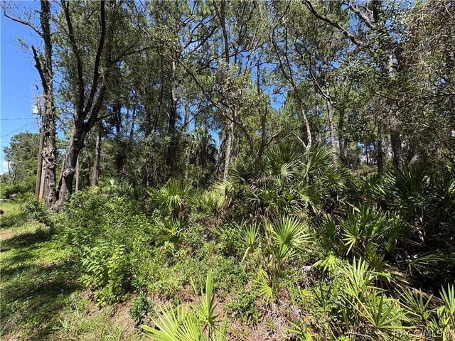 394 N Florene Point, Crystal River, FL 34429