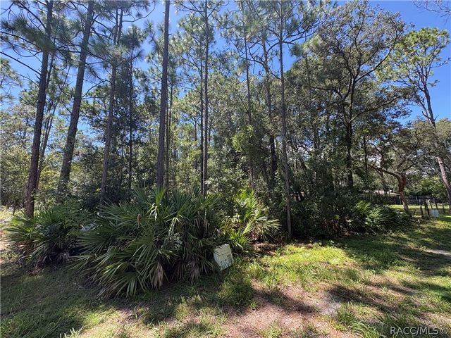 394 N Florene Point, Crystal River, FL 34429