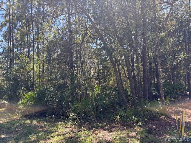 394 N Florene Point, Crystal River, FL 34429