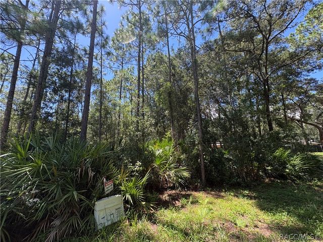 394 N Florene Point, Crystal River, FL 34429