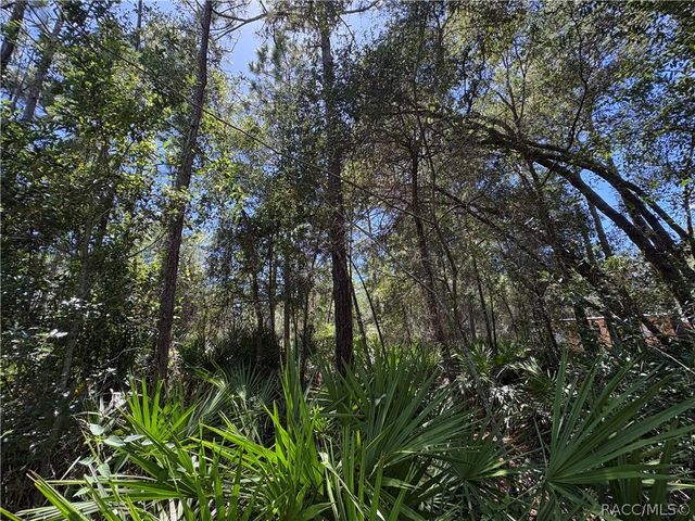 394 N Florene Point, Crystal River, FL 34429
