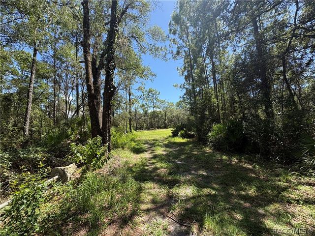394 N Florene Point, Crystal River, FL 34429