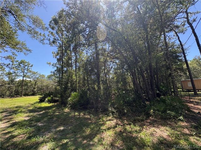 394 N Florene Point, Crystal River, FL 34429