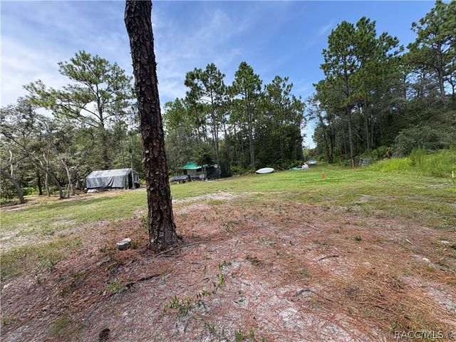 394 N Florene Point, Crystal River, FL 34429