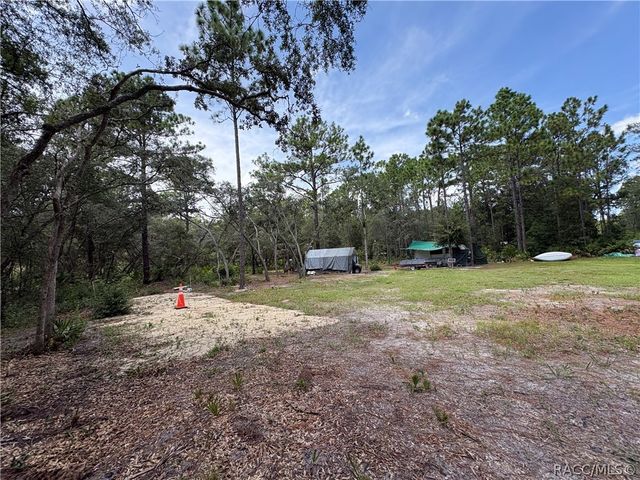 394 N Florene Point, Crystal River, FL 34429