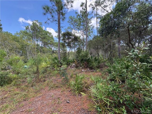 394 N Florene Point, Crystal River, FL 34429