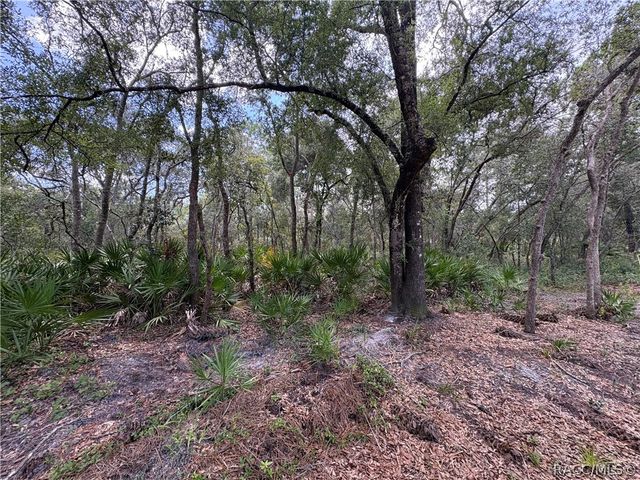 394 N Florene Point, Crystal River, FL 34429