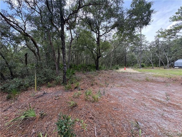 394 N Florene Point, Crystal River, FL 34429