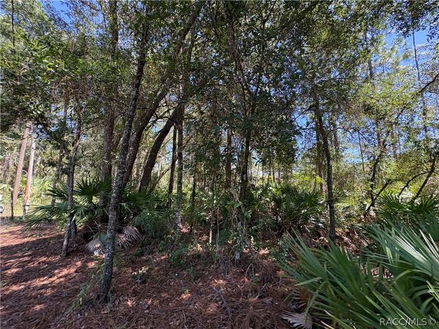394 N Florene Point, Crystal River, FL 34429