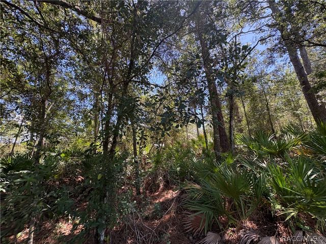 394 N Florene Point, Crystal River, FL 34429