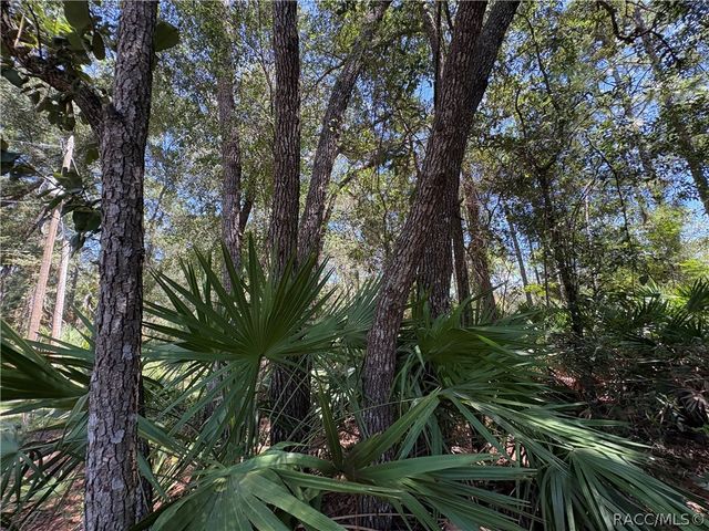 394 N Florene Point, Crystal River, FL 34429