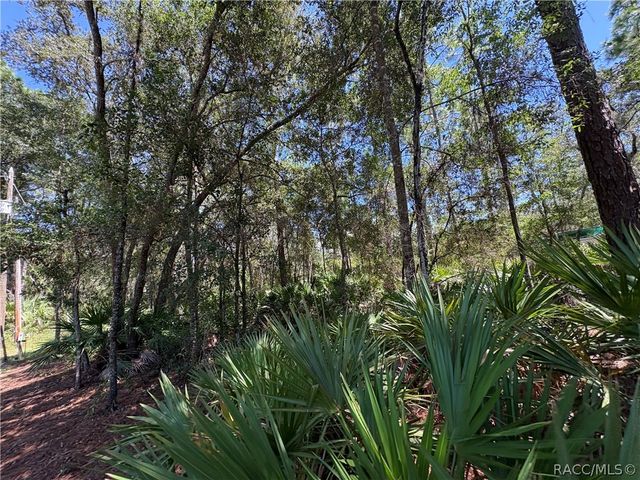 394 N Florene Point, Crystal River, FL 34429