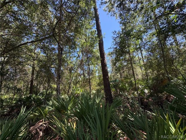 394 N Florene Point, Crystal River, FL 34429
