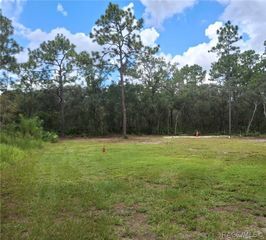 394 N Florene Point, Crystal River, FL 34429