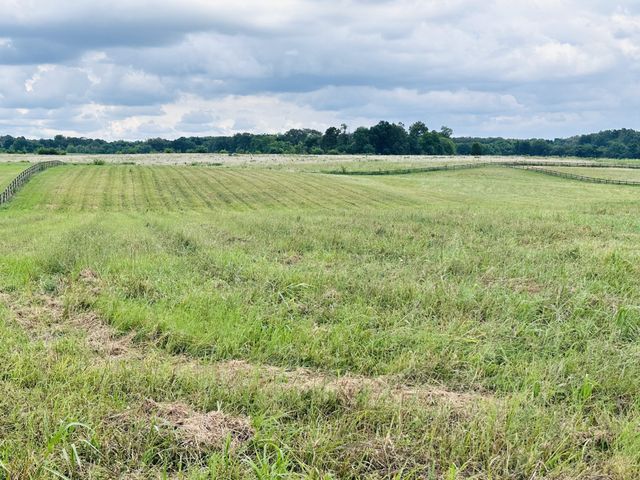3908 Fykes Grove Rd, Cedar Hill, TN 37032