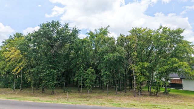 309 Cedar Creek Landing Lane, Mabank, TX 75143