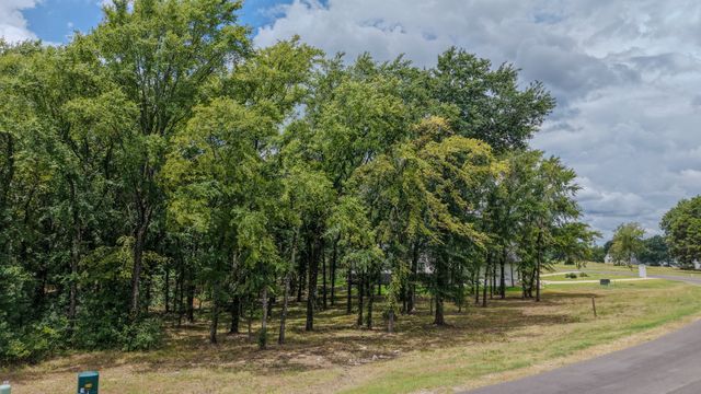 309 Cedar Creek Landing Lane, Mabank, TX 75143