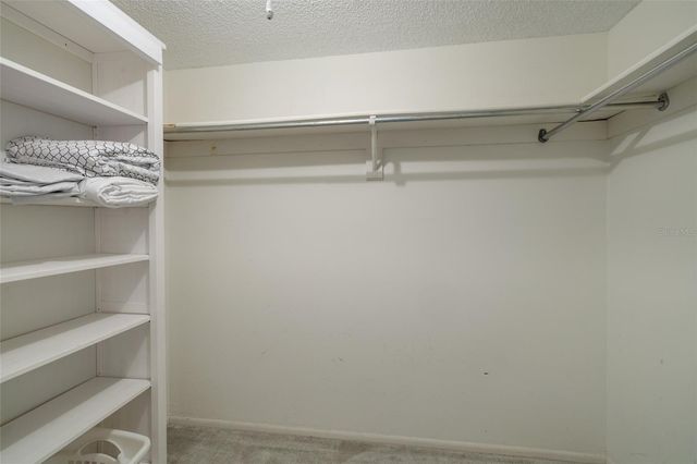 4915 BAY STREET NE 331, St Petersburg, FL 33703